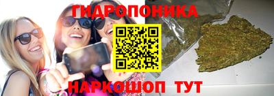 прущие крисы Кунгур
